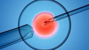 How Infertility Specialists Increase IVF Success