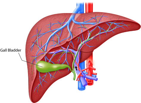 The Role of EGD in Diagnosing Gastrointestinal Disorders