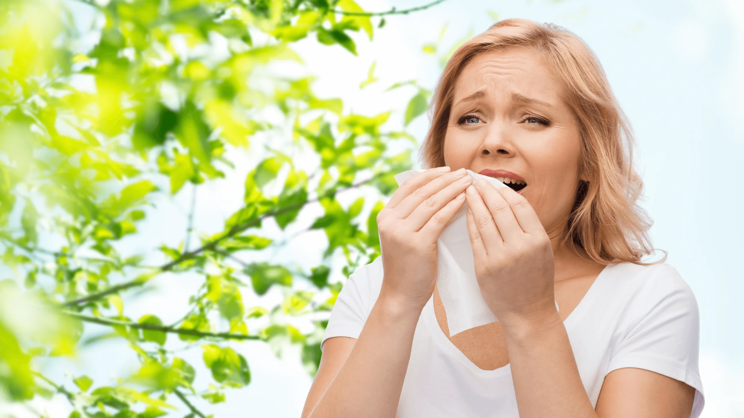 Tips for Alleviating Nasal Congestion During Allergy Season